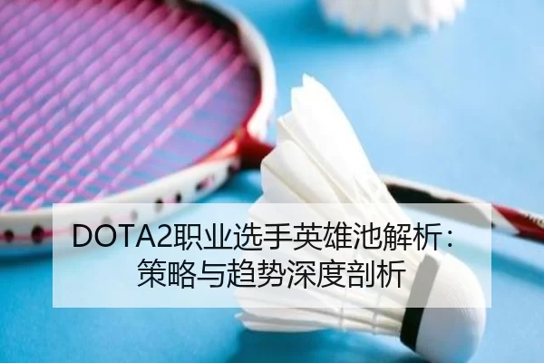 DOTA2职业选手英雄池解析：策略与趋势深度剖析